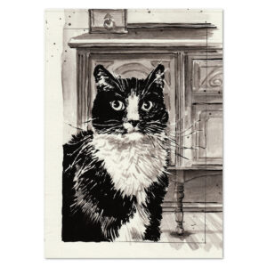 Pet portrait of Rowdy the cat